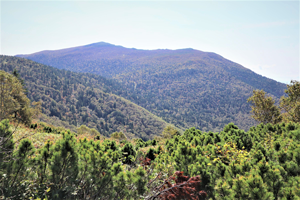 Экологические маршруты