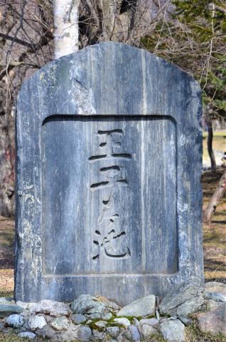 СТЕЛЛА ОДЗИ ИКЭ.JPG