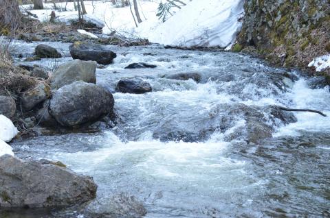 DSC_4001 (Фото Владимир Чуйко).jpg