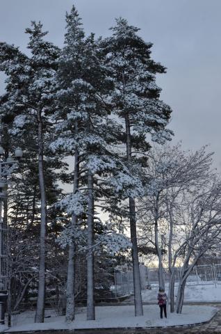 DSC_6528 (Фото Владимир Чуйко).jpg