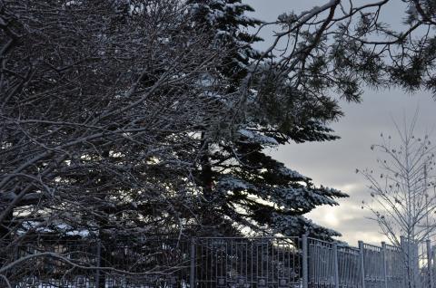 DSC_6530 (Фото Владимир Чуйко).jpg