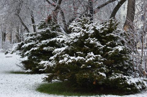 DSC_6534 (Фото Владимир Чуйко).jpg