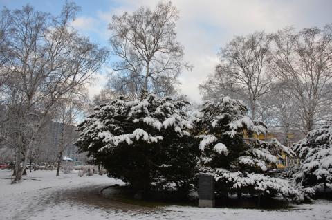 DSC_6536 (Фото Владимир Чуйко).jpg