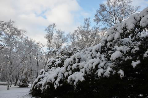 DSC_6542 (Фото Владимир Чуйко).jpg