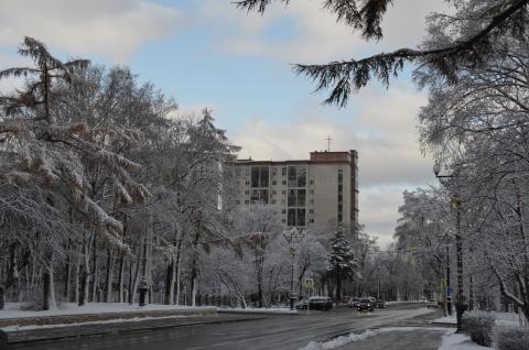 DSC_6543 (Фото Владимир Чуйко).jpg