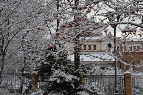 DSC_6544 (Фото Владимир Чуйко)_0.jpg