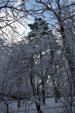 DSC_6565 (Фото Владимир Чуйко).jpg