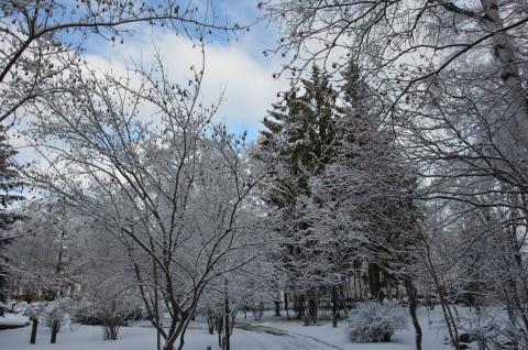 DSC_6570 (Фото Владимир Чуйко).jpg