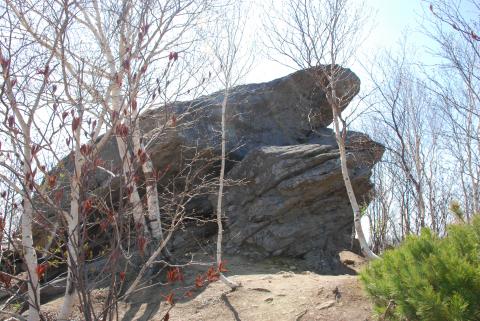 DSC_8459 (Фото Владимир Чуйко).JPG