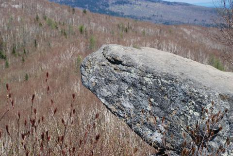 DSC_8463 (Фото Владимир Чуйко).JPG