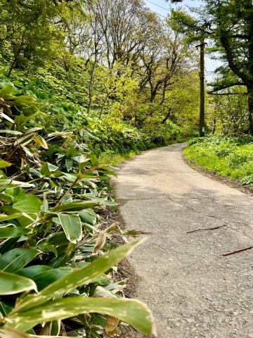 WhatsApp Image 2024-06-14 at 11.17.12 (2).jpeg