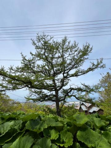 WhatsApp Image 2024-06-14 at 11.17.12.jpeg