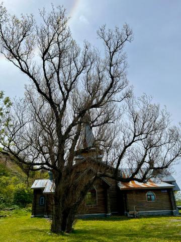 WhatsApp Image 2024-06-14 at 11.17.13 (1).jpeg