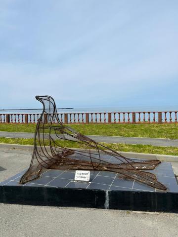 WhatsApp Image 2024-06-14 at 11.17.14 (2).jpeg