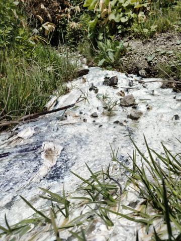 WhatsApp Image 2024-06-14 at 11.18.11 (1).jpeg