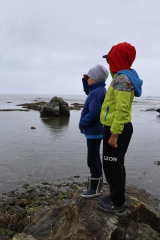 WhatsApp Image 2024-06-17 at 16.55.50.jpeg