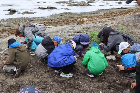 WhatsApp Image 2024-06-17 at 16.57.18.jpeg