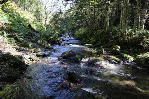 Айхор  (10).jpeg