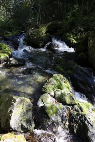 Айхор  (12).jpeg