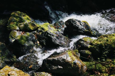 Айхор  (15).jpeg