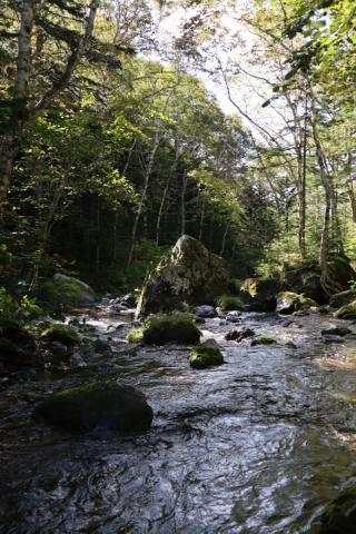 Айхор  (17)_0.jpeg