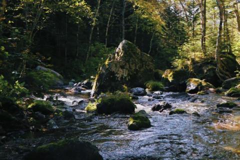 Айхор  (19).jpeg