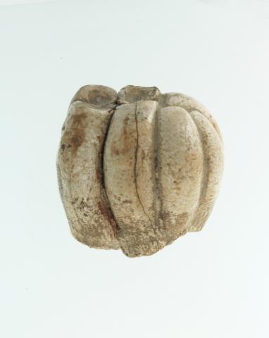 новая выставка (6).jpg