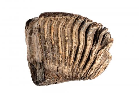 новая выставка (7).jpg