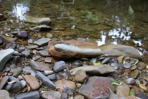 новая выставка (8).JPG