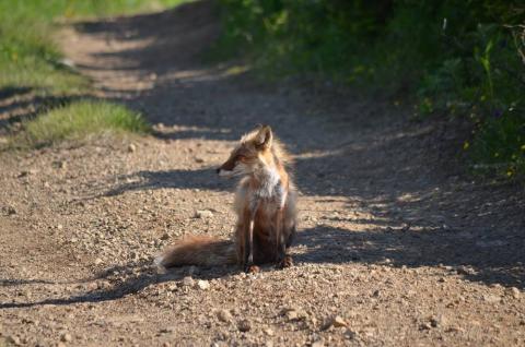 19093030_788779391281978_6834311715956635143_o (1)_0.jpg