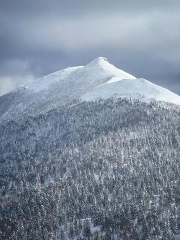 2025-02-26 09.56.26.jpg