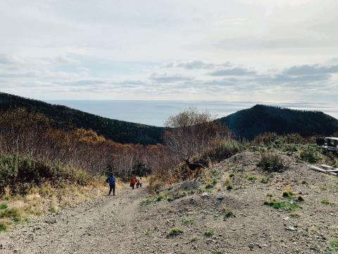 WhatsApp Image 2021-10-20 at 11.41.19.jpeg