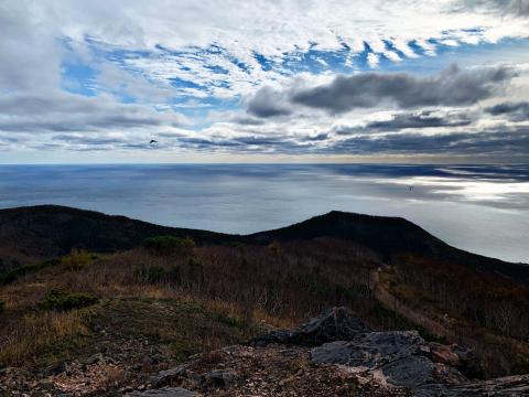 WhatsApp Image 2021-10-20 at 11.41.20.jpeg