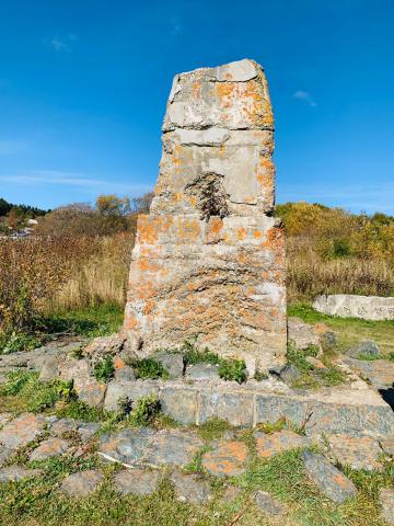 WhatsApp Image 2021-10-20 at 11.41.22 (1).jpeg