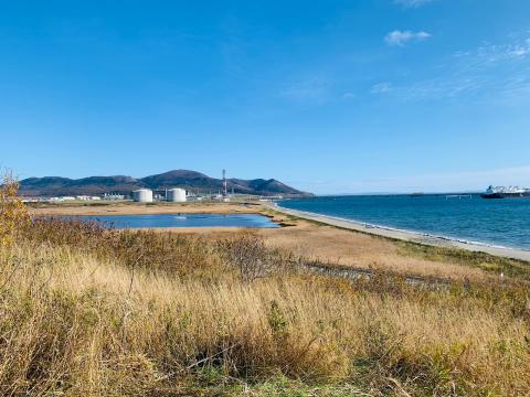 WhatsApp Image 2021-10-20 at 11.41.23 (2).jpeg