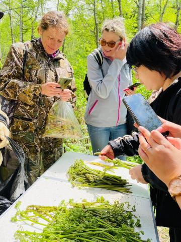 WhatsApp Image 2023-05-30 at 10.55.21.jpeg