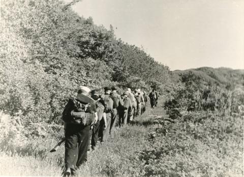 WhatsApp Image 2023-06-01 at 17.52.02.jpeg