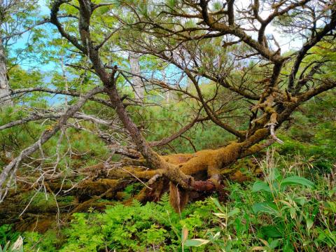 WhatsApp Image 2023-06-14 at 10.18.13 (1).jpeg