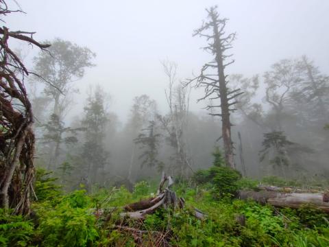 WhatsApp Image 2023-06-14 at 10.18.14.jpeg