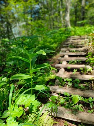 WhatsApp Image 2023-06-14 at 10.18.15.jpeg