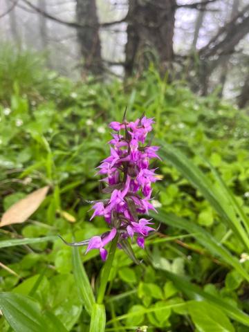 WhatsApp Image 2023-06-19 at 16.12.38 (1).jpeg