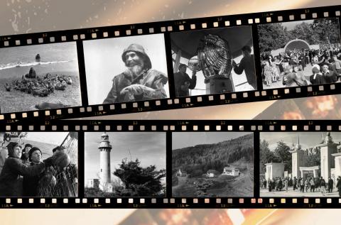 WhatsApp Image 2023-07-04 at 18.10.56.jpeg