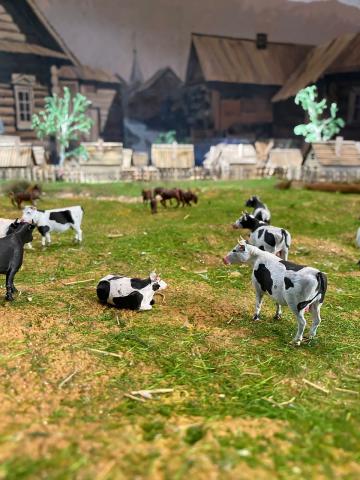 WhatsApp Image 2023-09-12 at 11.18.22 (1).jpeg