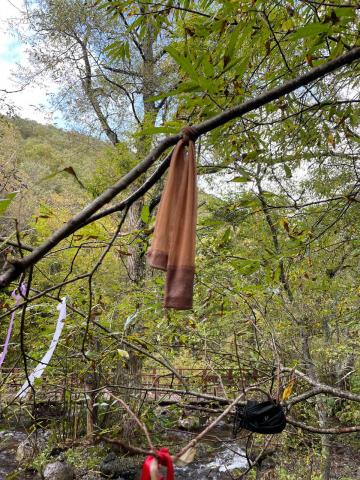 photo1696822991 (3).jpeg